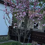 Magnolia Garden Apartamento *