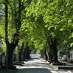 Apartamento Magnolia Garden *