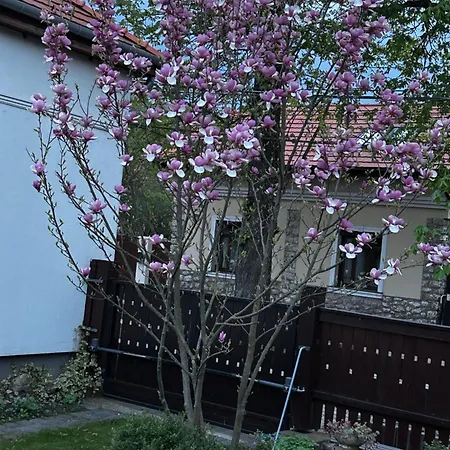 Magnolia Garden شقة *