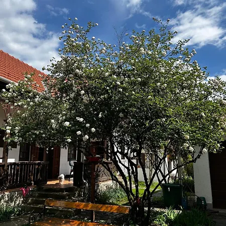 Apartment Magnolia Garden Miskolc
