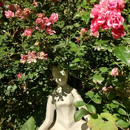 شقة Magnolia Garden