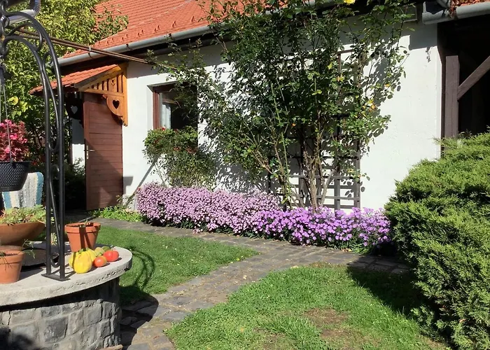 Апартаменты Magnolia Garden *