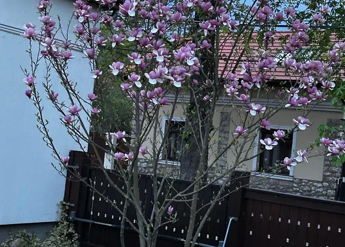 Magnolia Garden 아파트 *