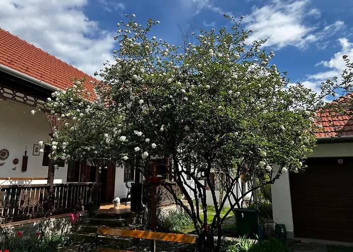 Апартаменты Magnolia Garden Мишкольц