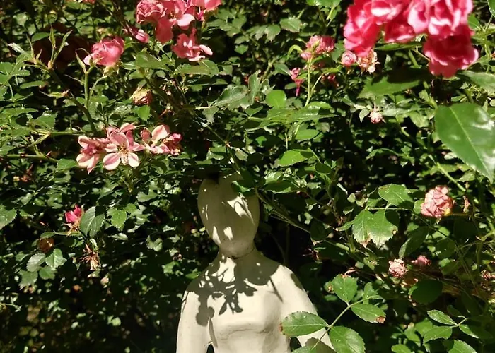 Апартаменты Magnolia Garden